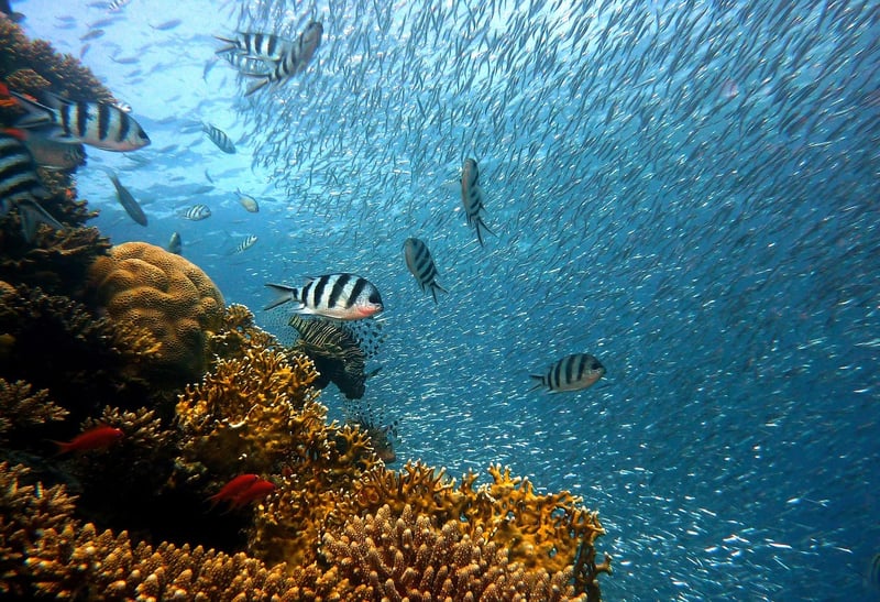 Underwater City